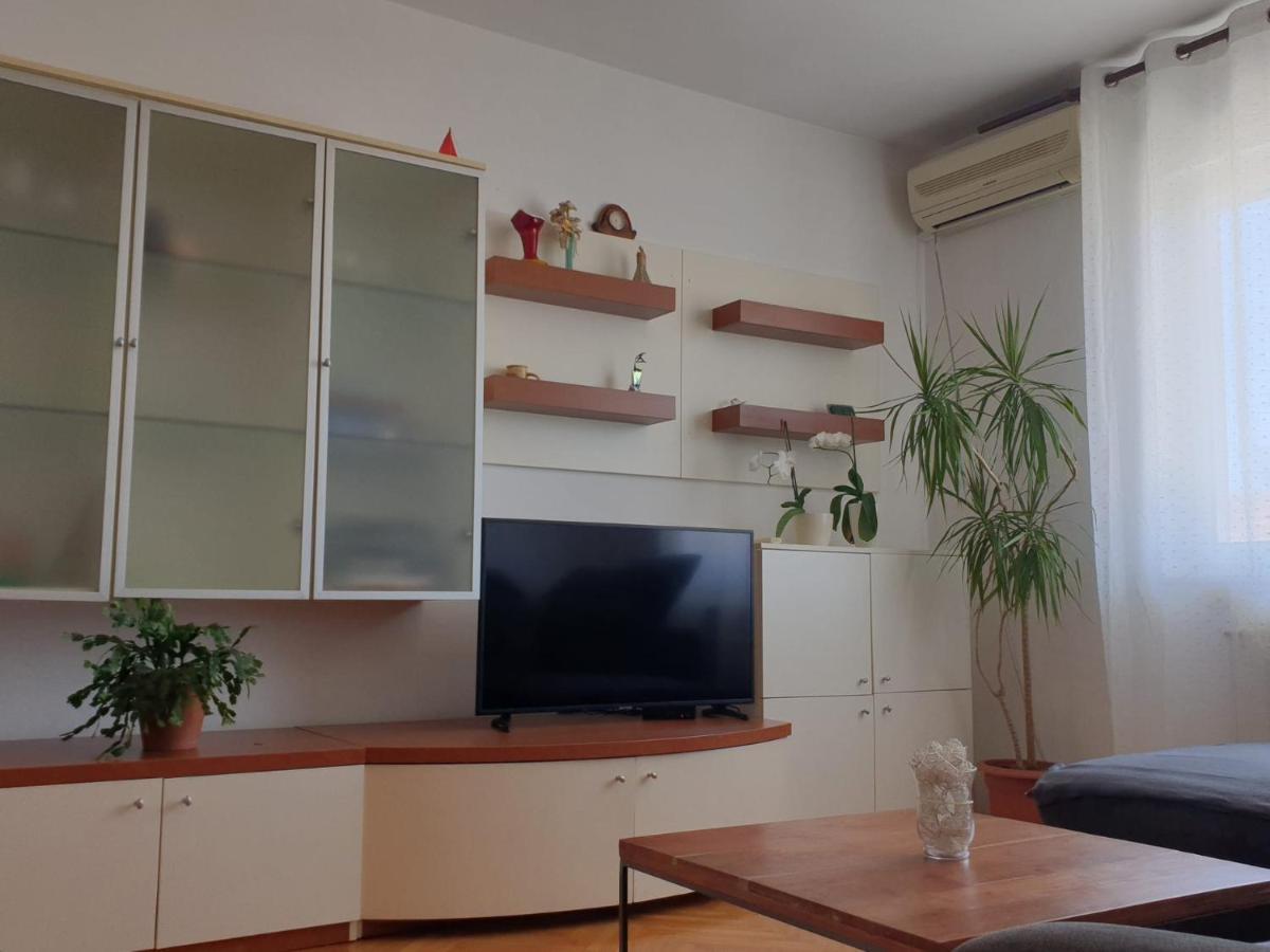 Apartments Ivana Ζαντάρ Εξωτερικό φωτογραφία